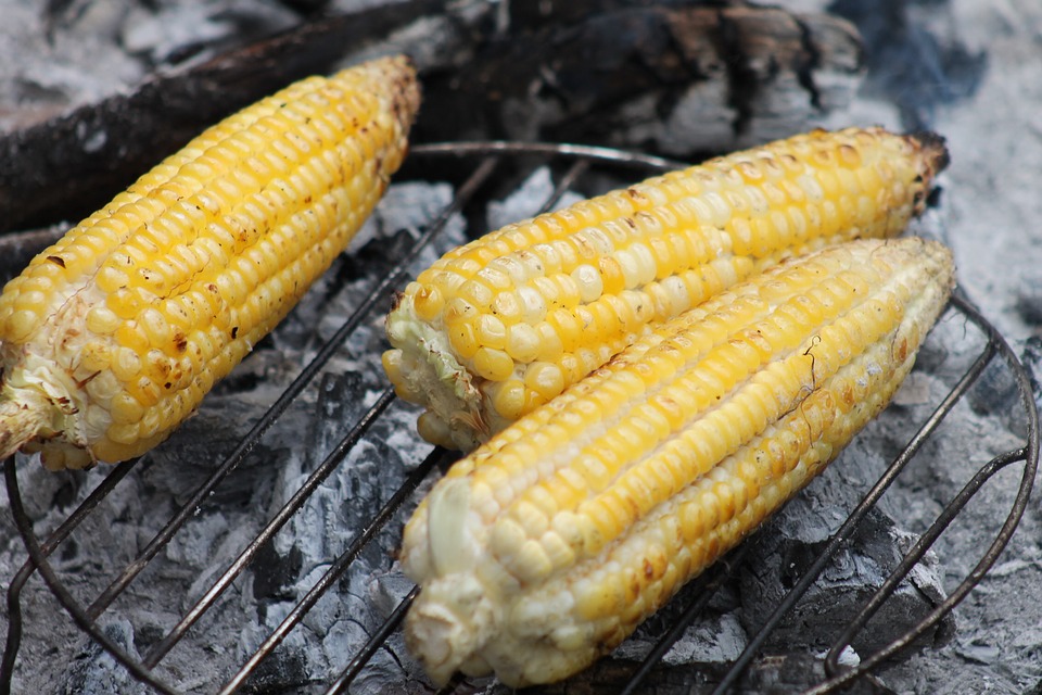 Elotes asados